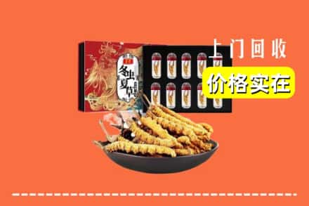 伊犁州特克斯县回收冬虫夏草